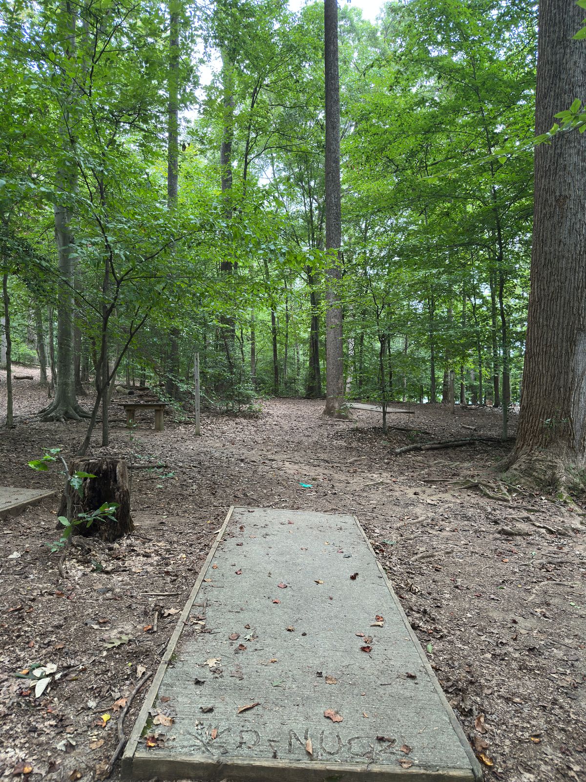 Hole 4 white tee