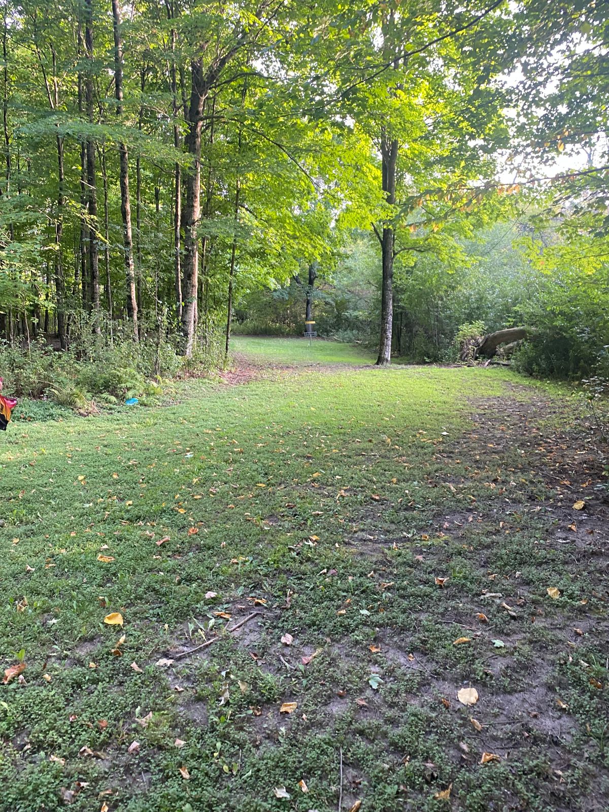 Fairway on hole 3.