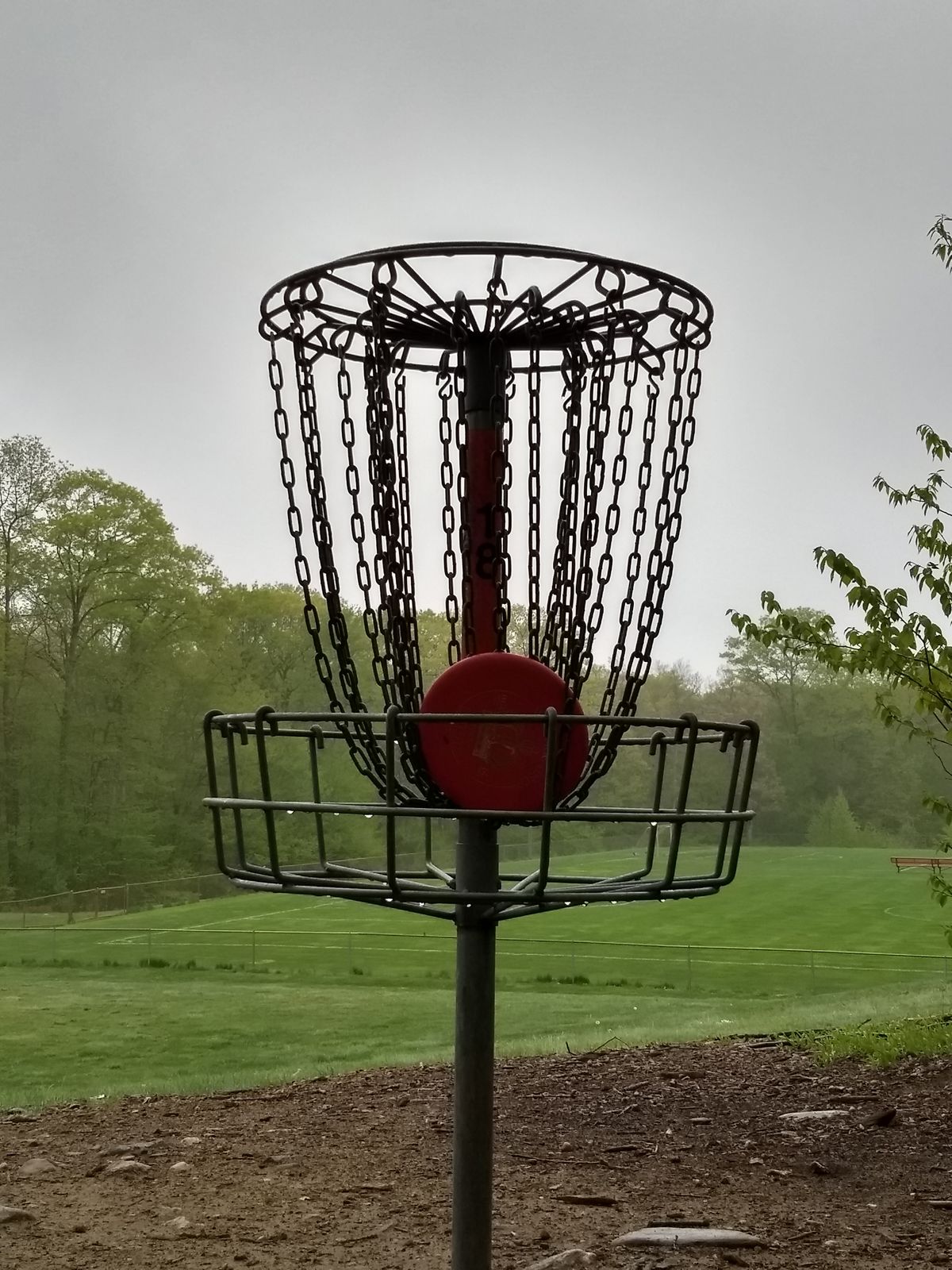 Hole 18, rainy birdie.