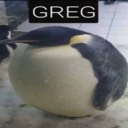 User avatar image