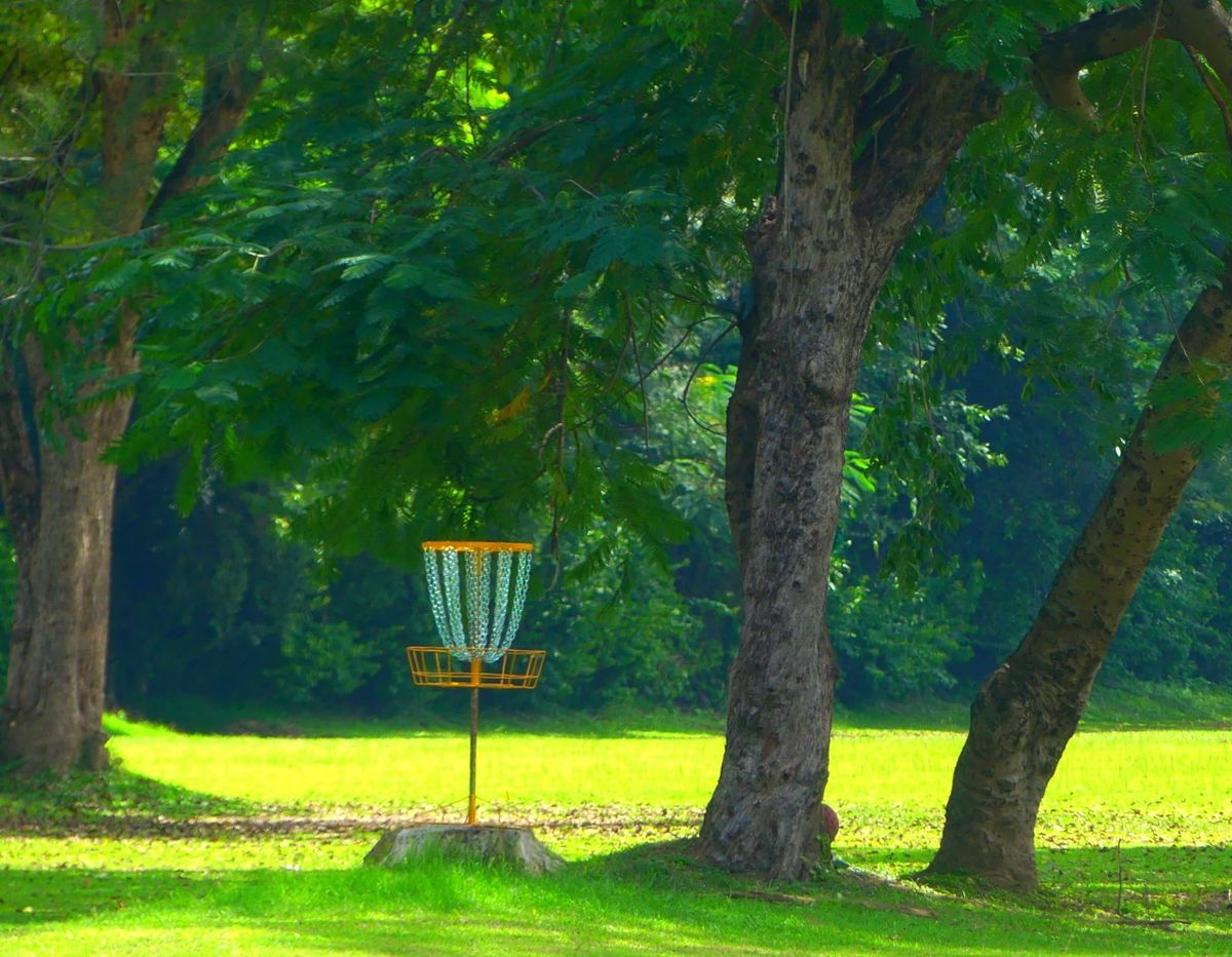 Hole 1 target. “The Rain Tree!”