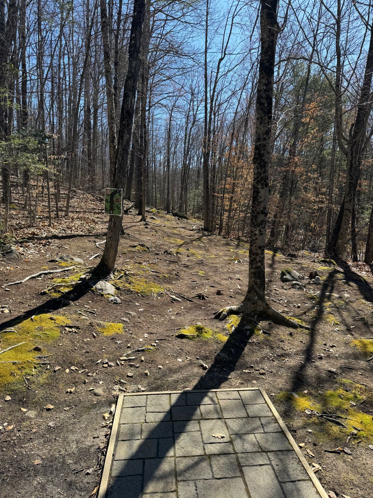Hole 5