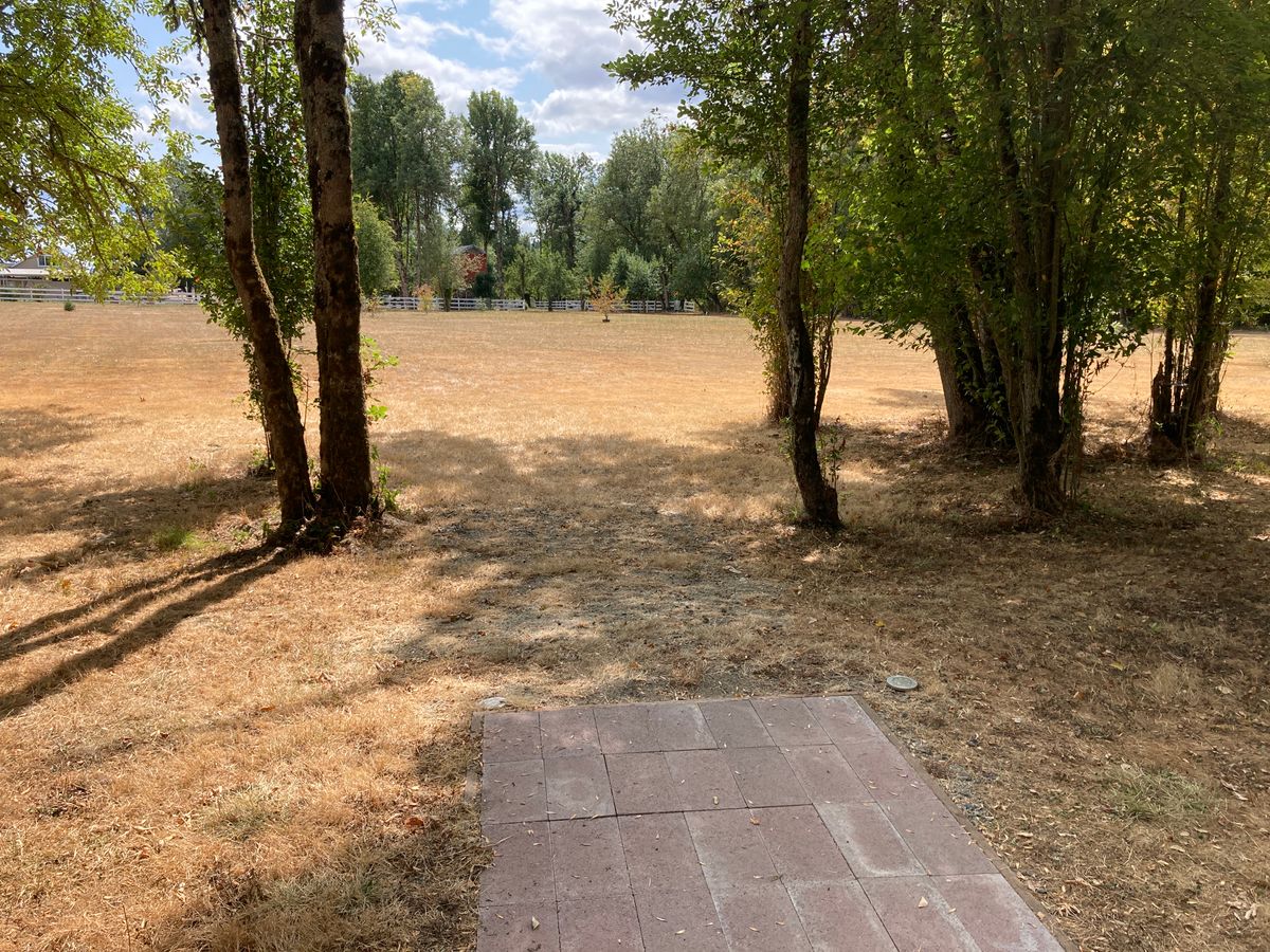 Tee 7