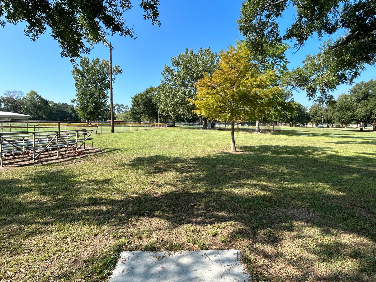 Hole 3 Fairway
