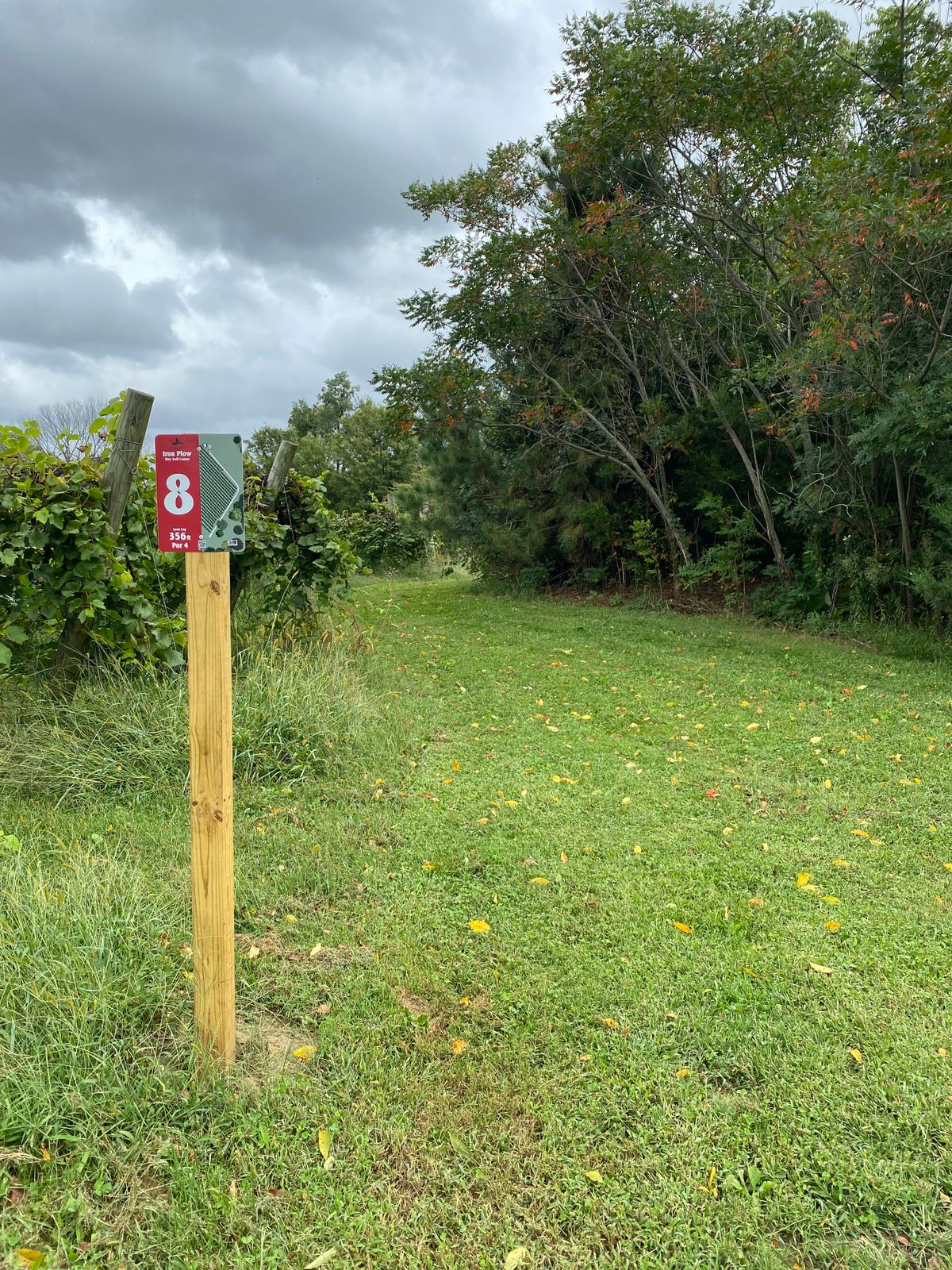 Hole 8