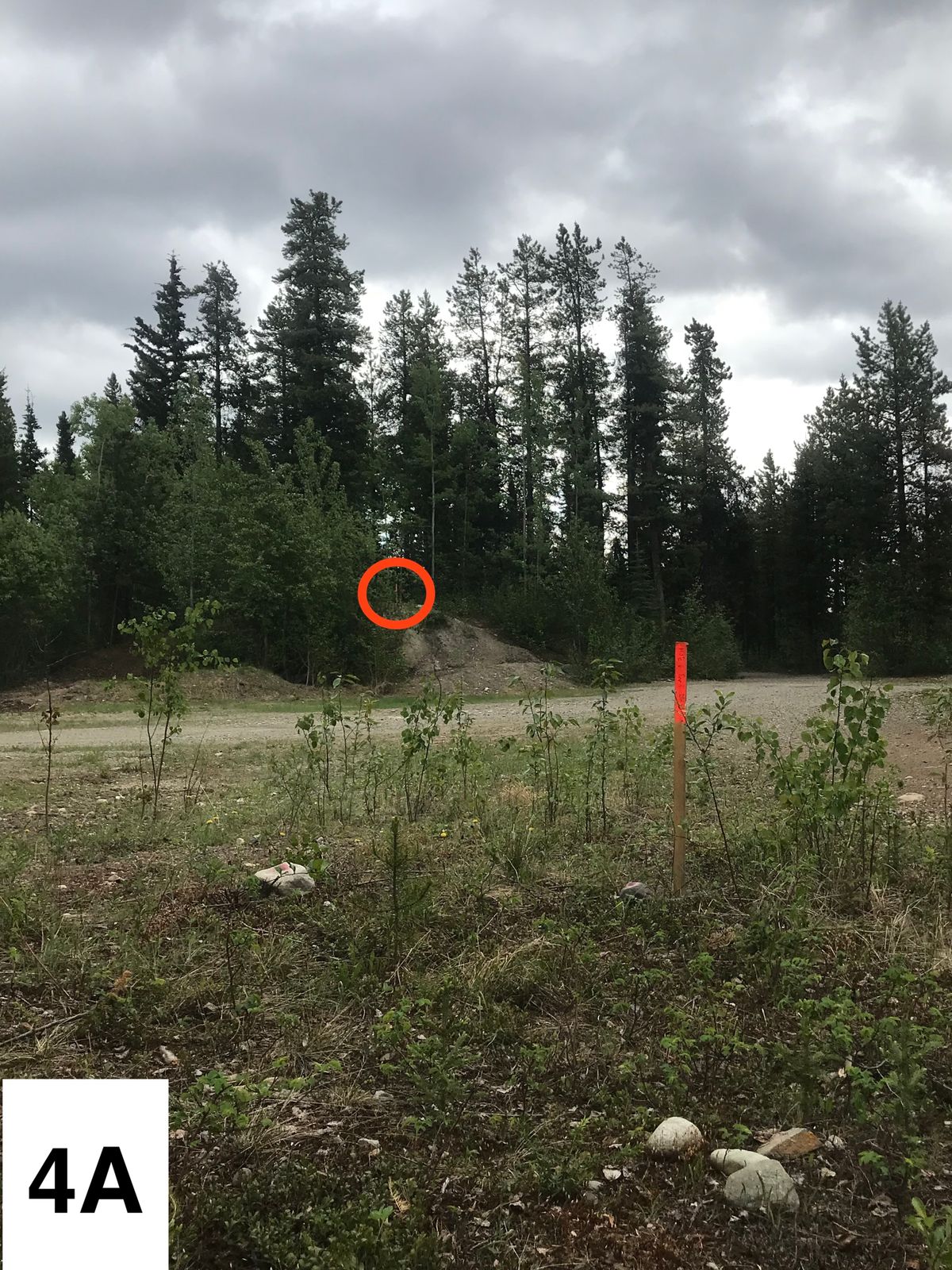 4 - Amateur Tee