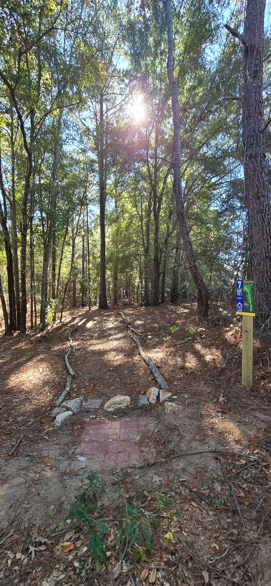 Hole 7