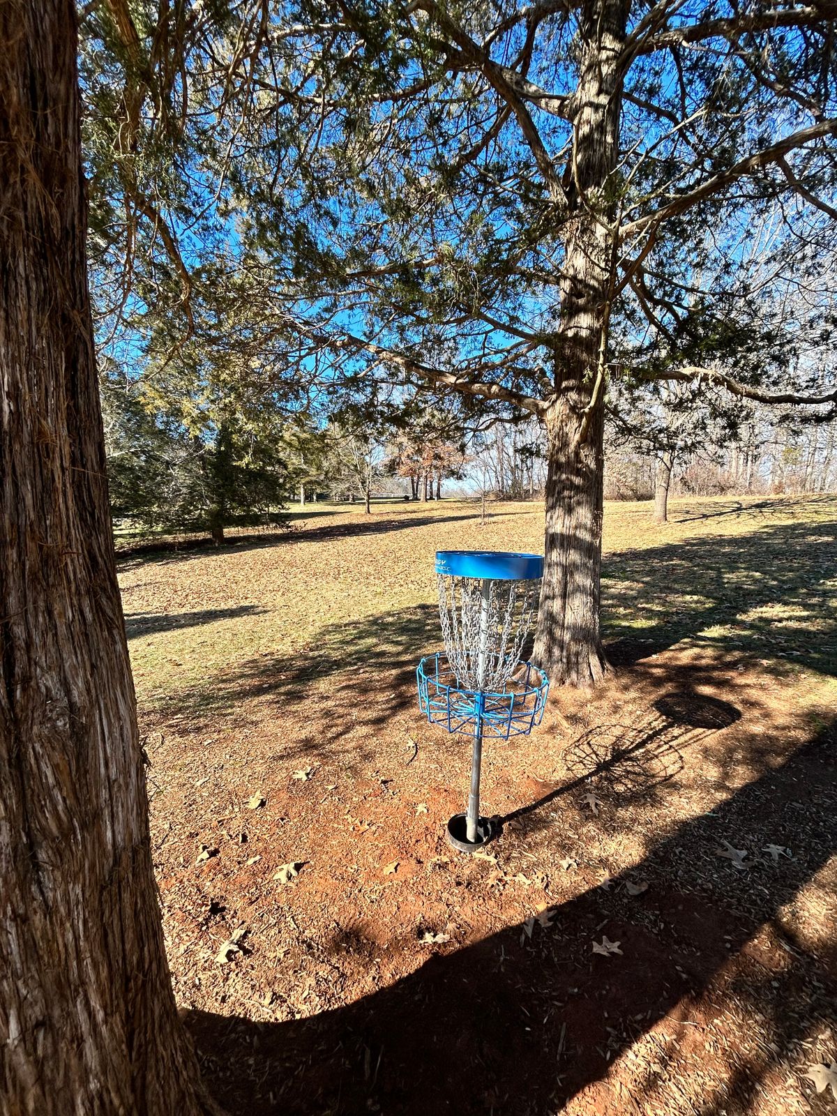 New baskets ‘23 Hole 2