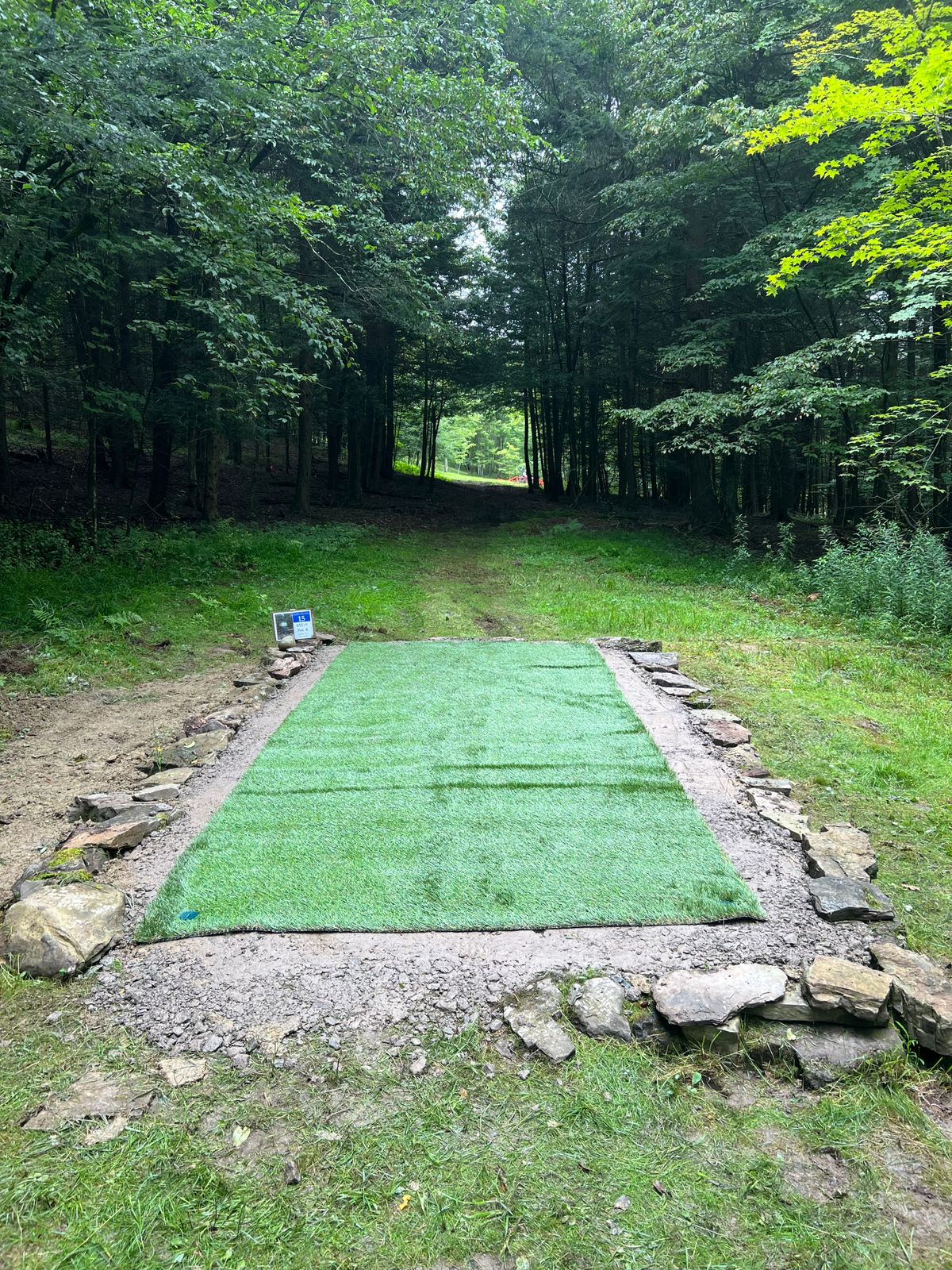 Hole 15 tee