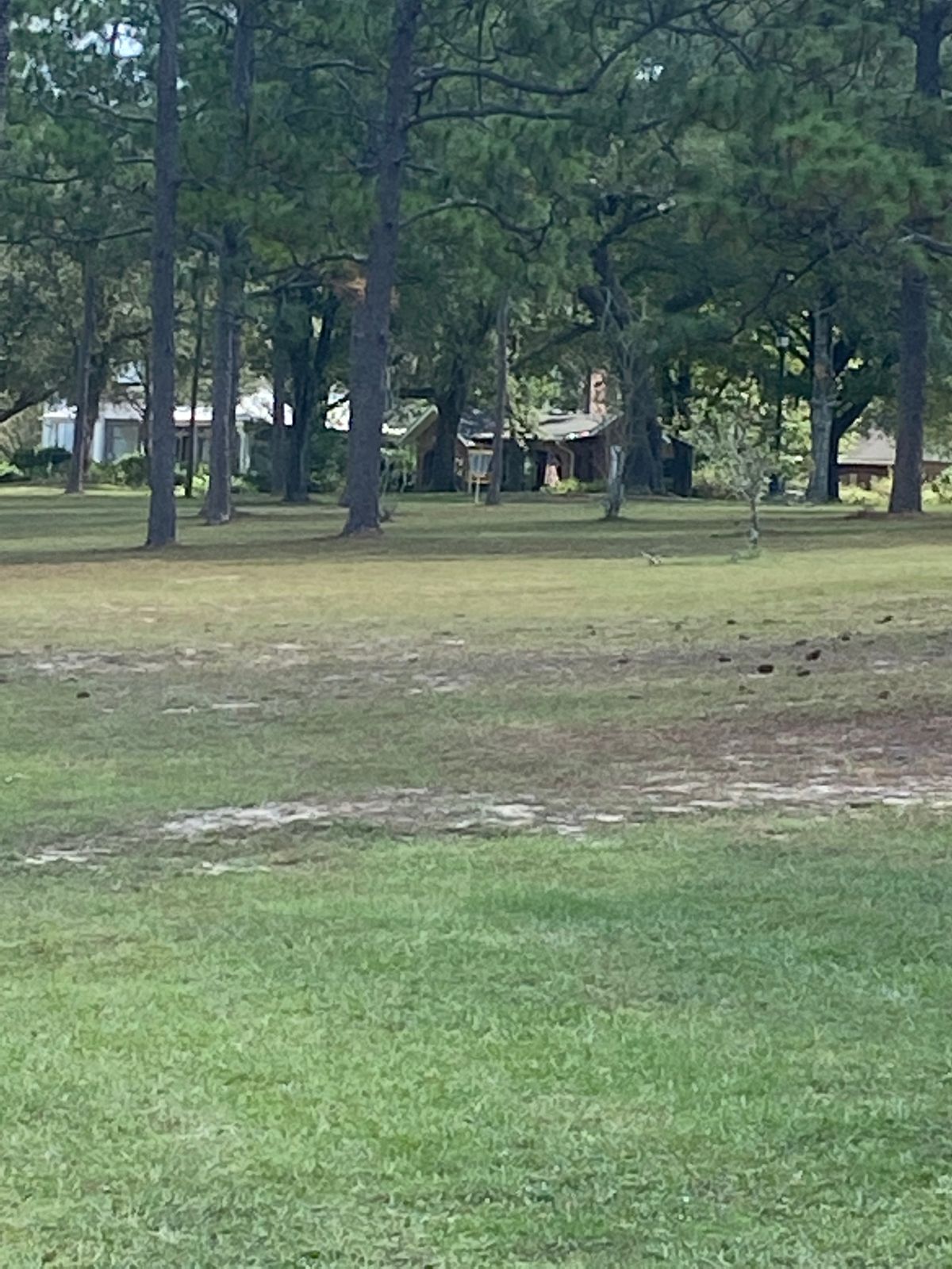 Hole 8