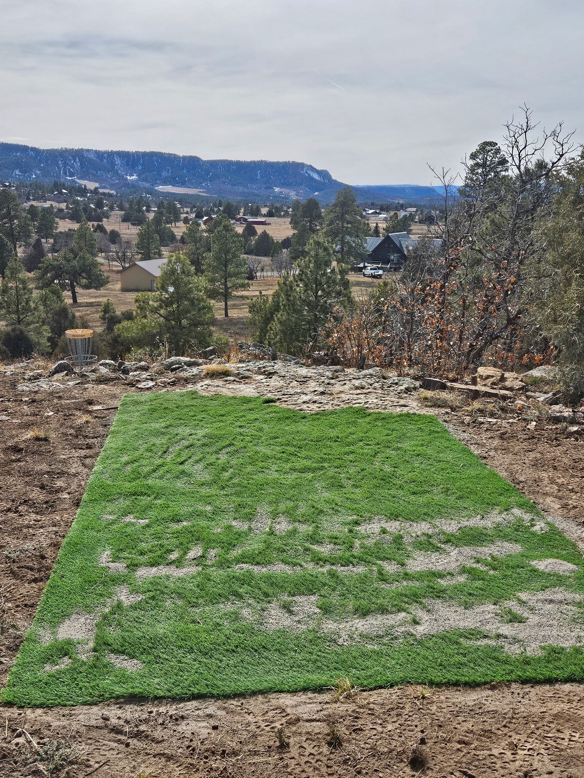 #6 to the sunken basket