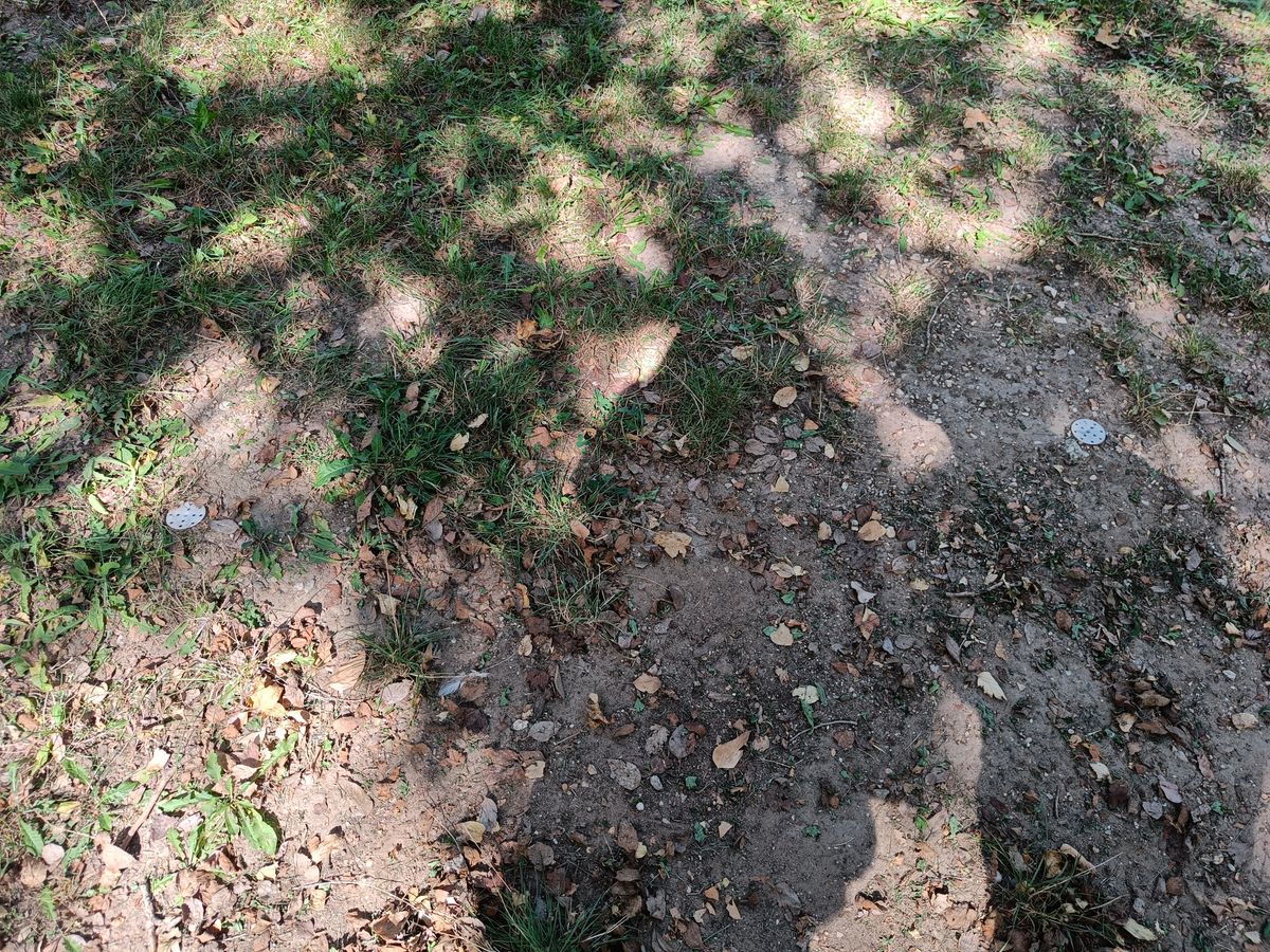 Advice from a local player: look for these white dots in the ground as they work as "teepads" for the league layouts found from UDisc!