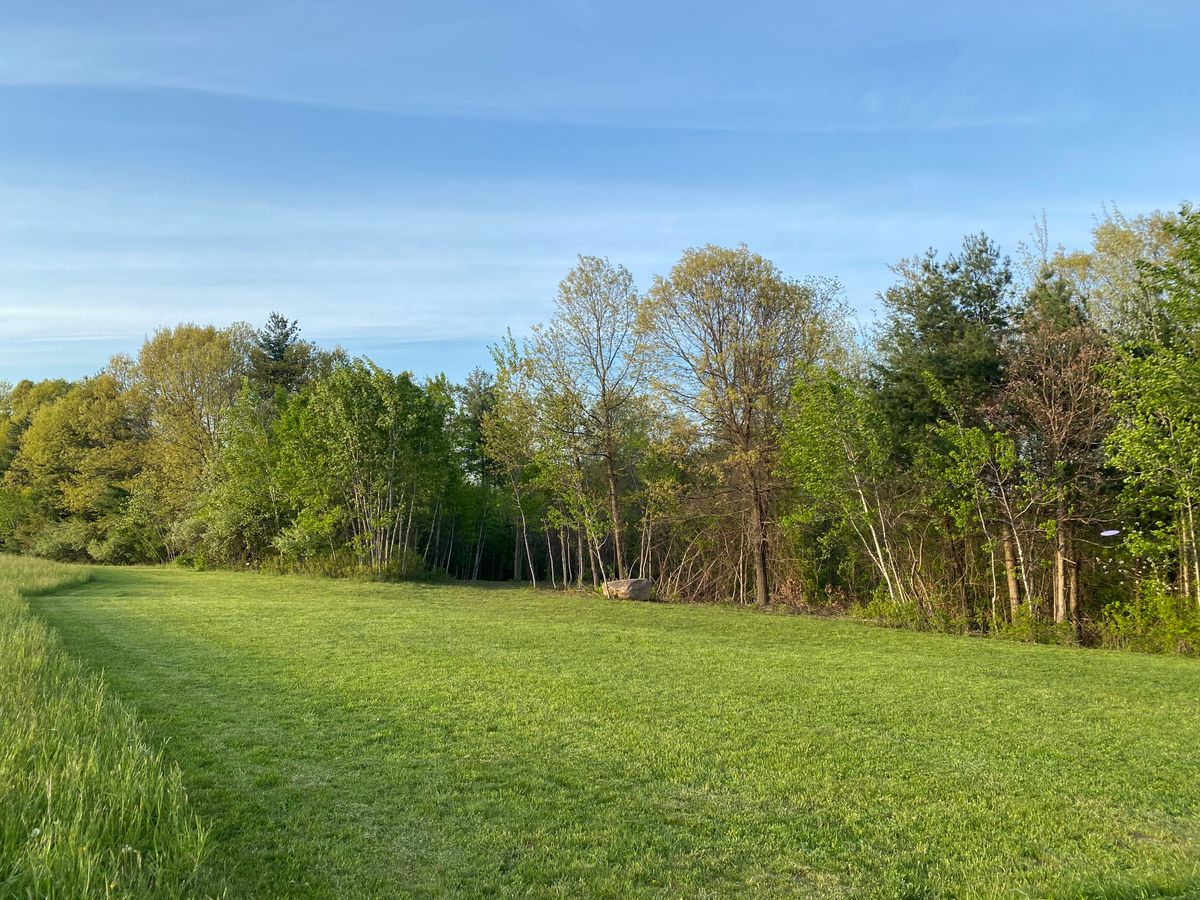 Hole 1 fairway looking at gap to the basket