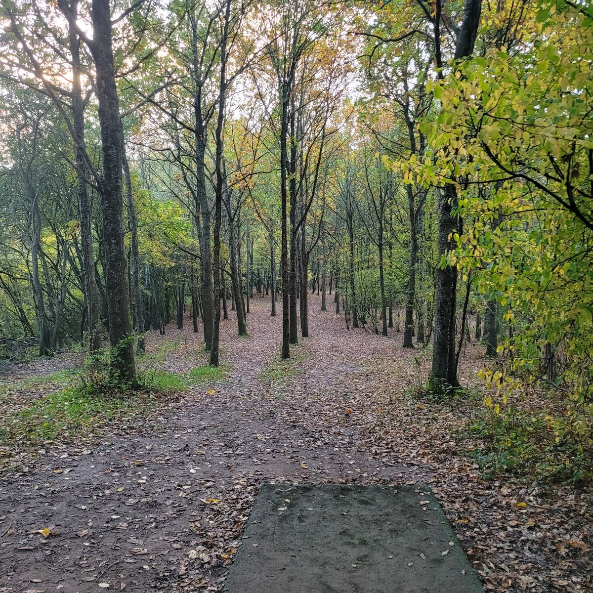 Hole 17, Tilst Bypark