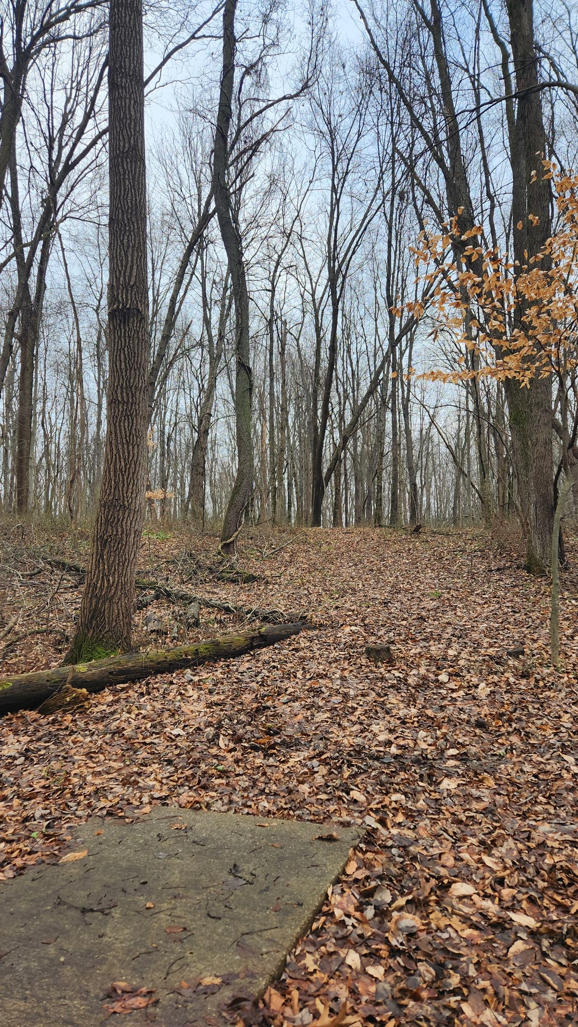 Hole 2 Tee