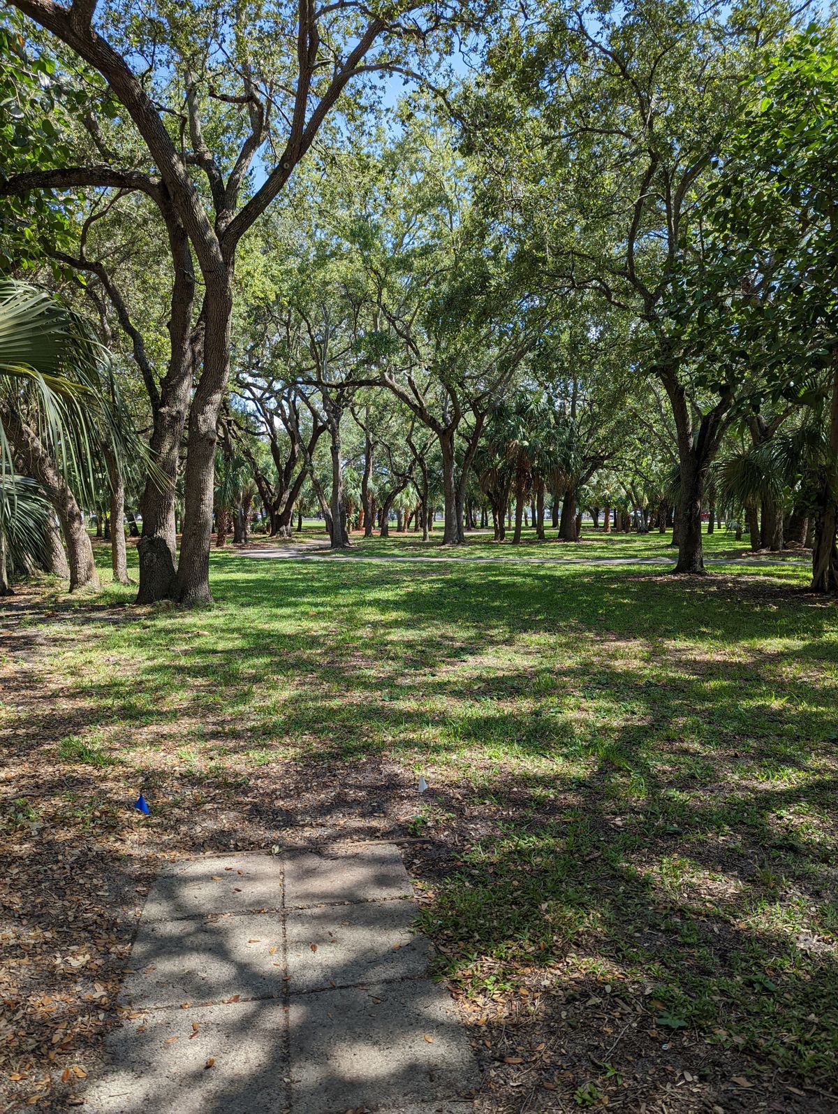 Hole 12