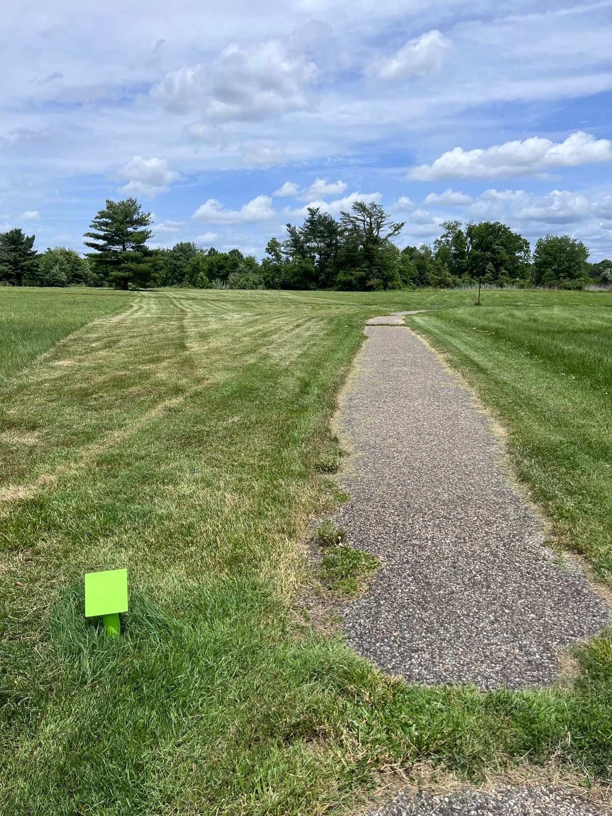 Hole 15 tee, basket off to the left past that lonely tree