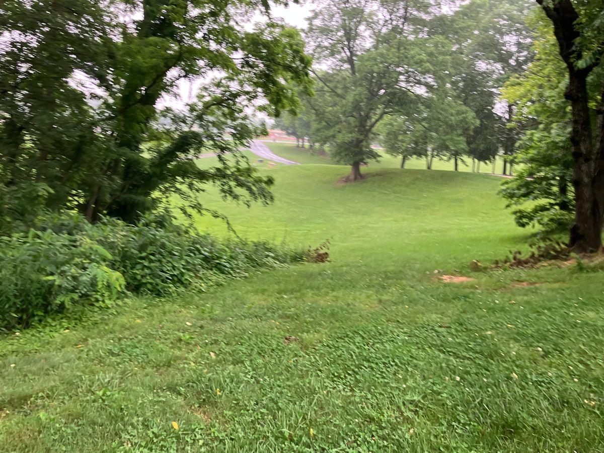 Window of hole 8 30foot off the tee.