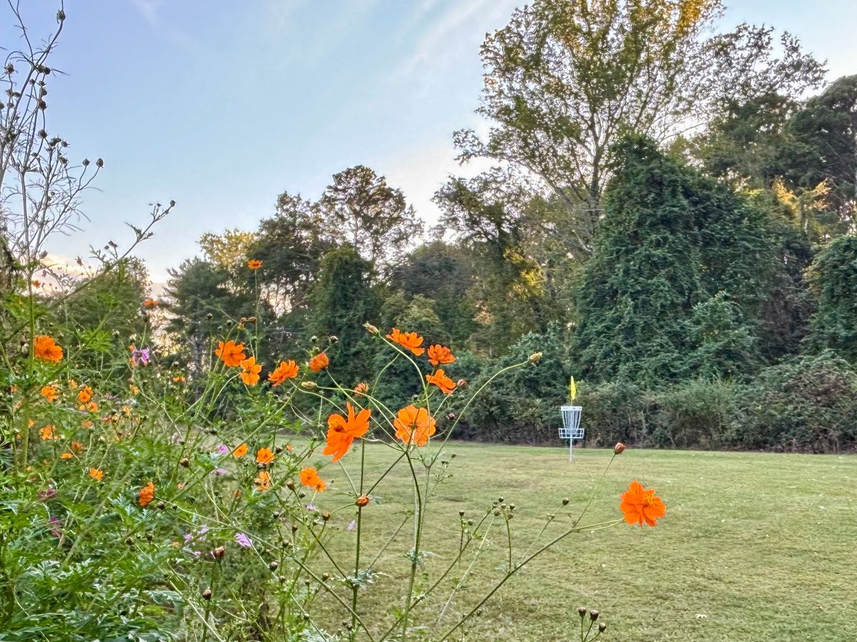 Hole 14