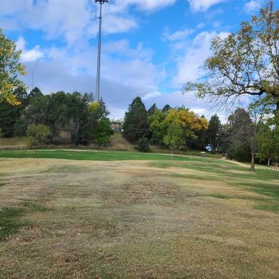 Course views