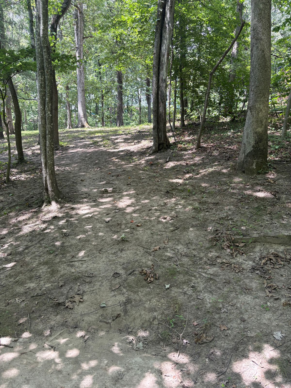 Hole 13 looking up toward basket, around the bend.
