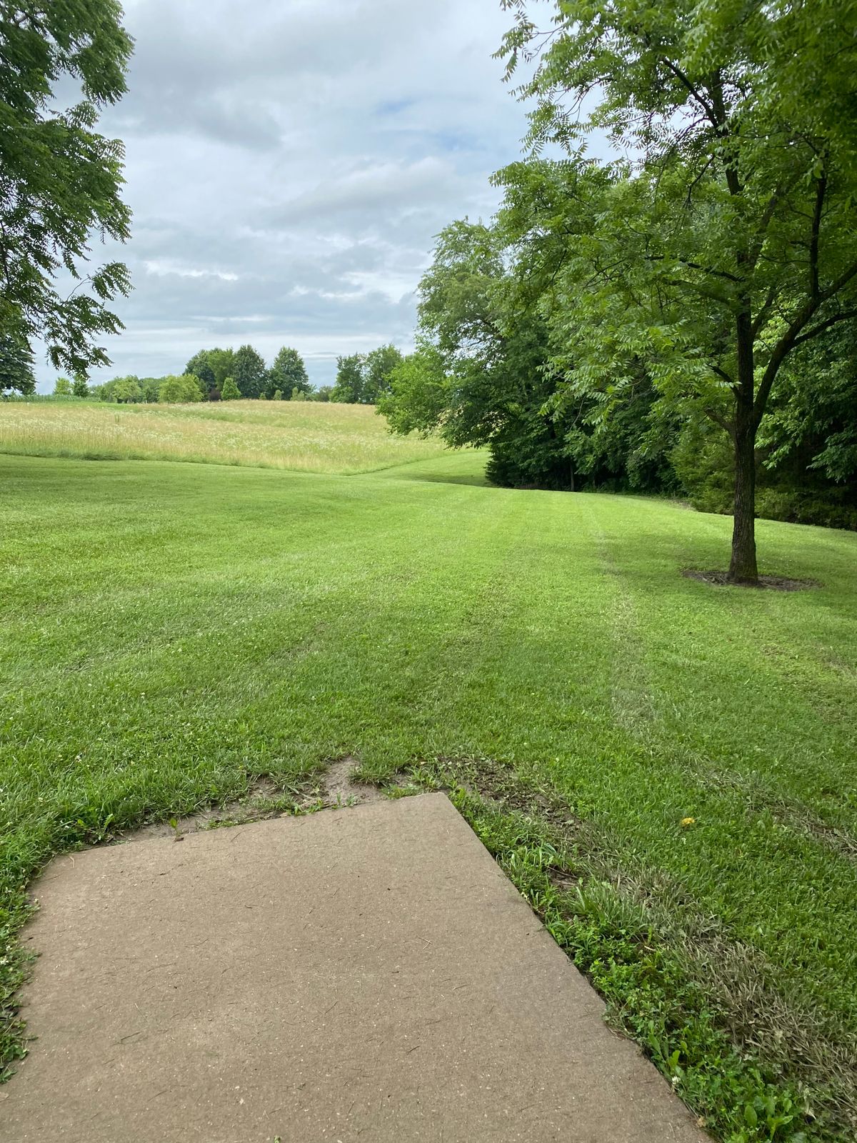 Small landing strip with woods on the right and thick grass on the left