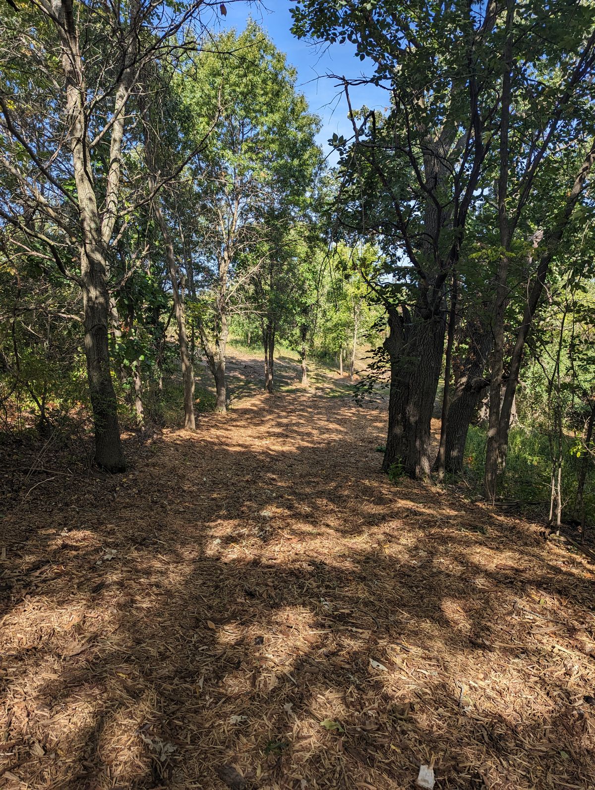 Fairway