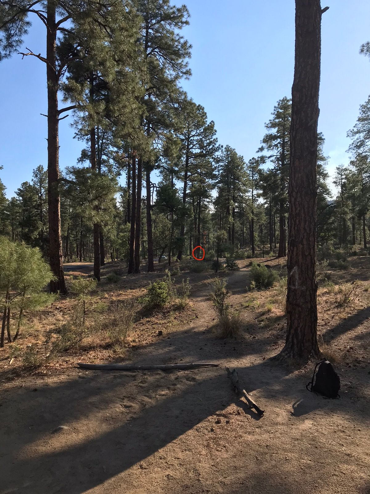 Tee 1