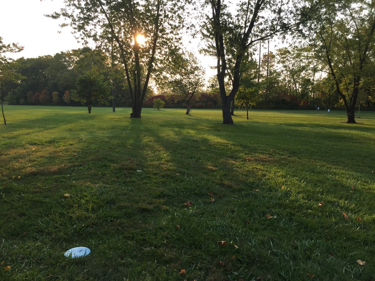 Morning view of basket 3.
