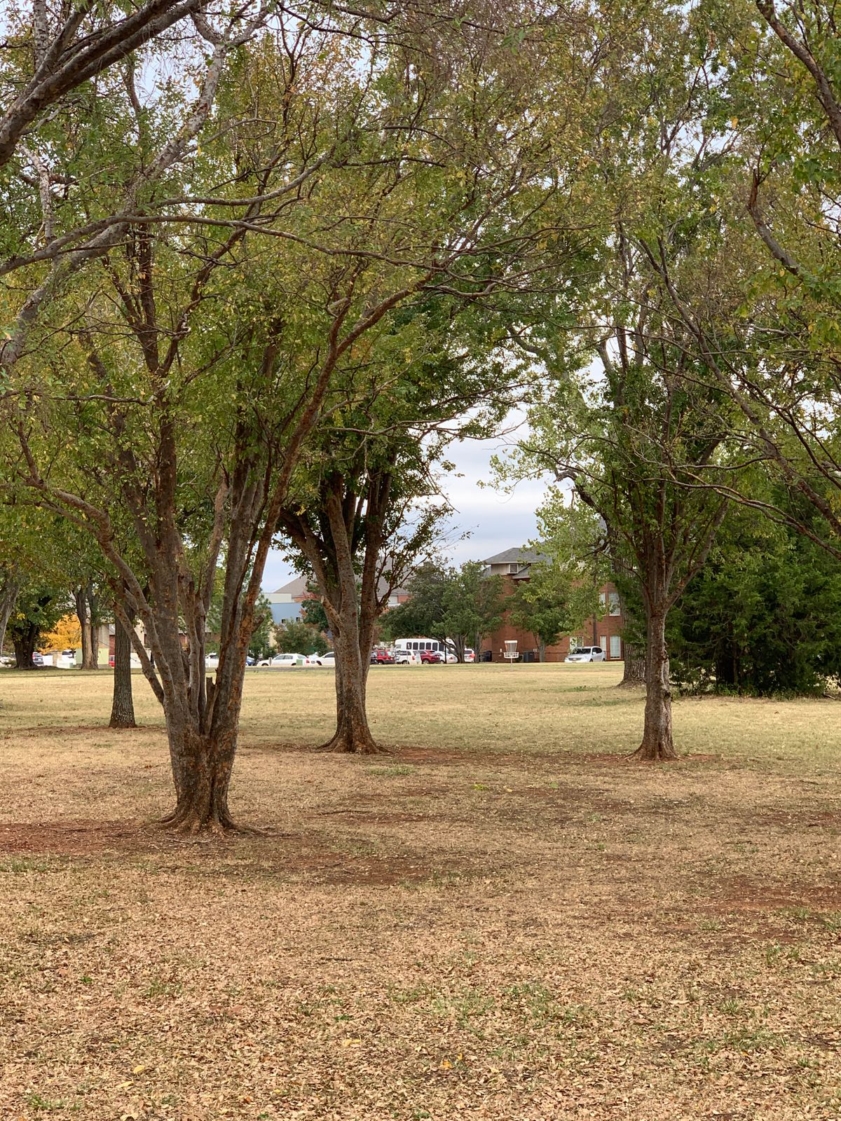 Hole 14