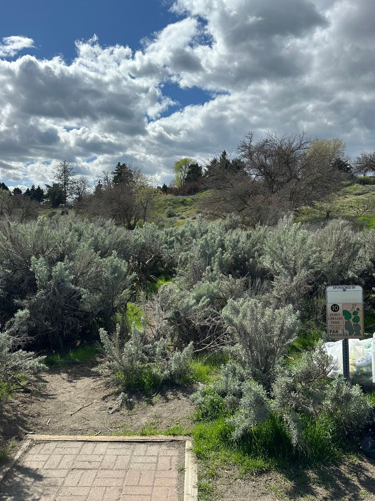 Hole 10 tee pad