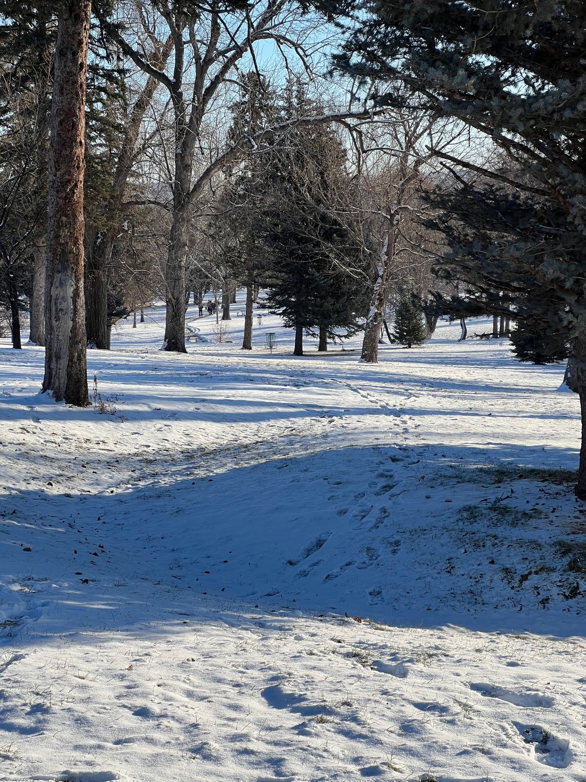 Winter Wizards Alt 18 - Hole 1
