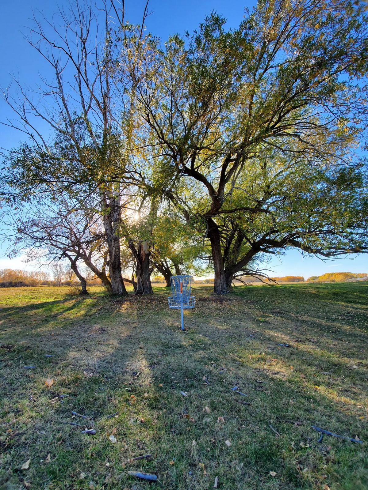 Basket from Hole 24