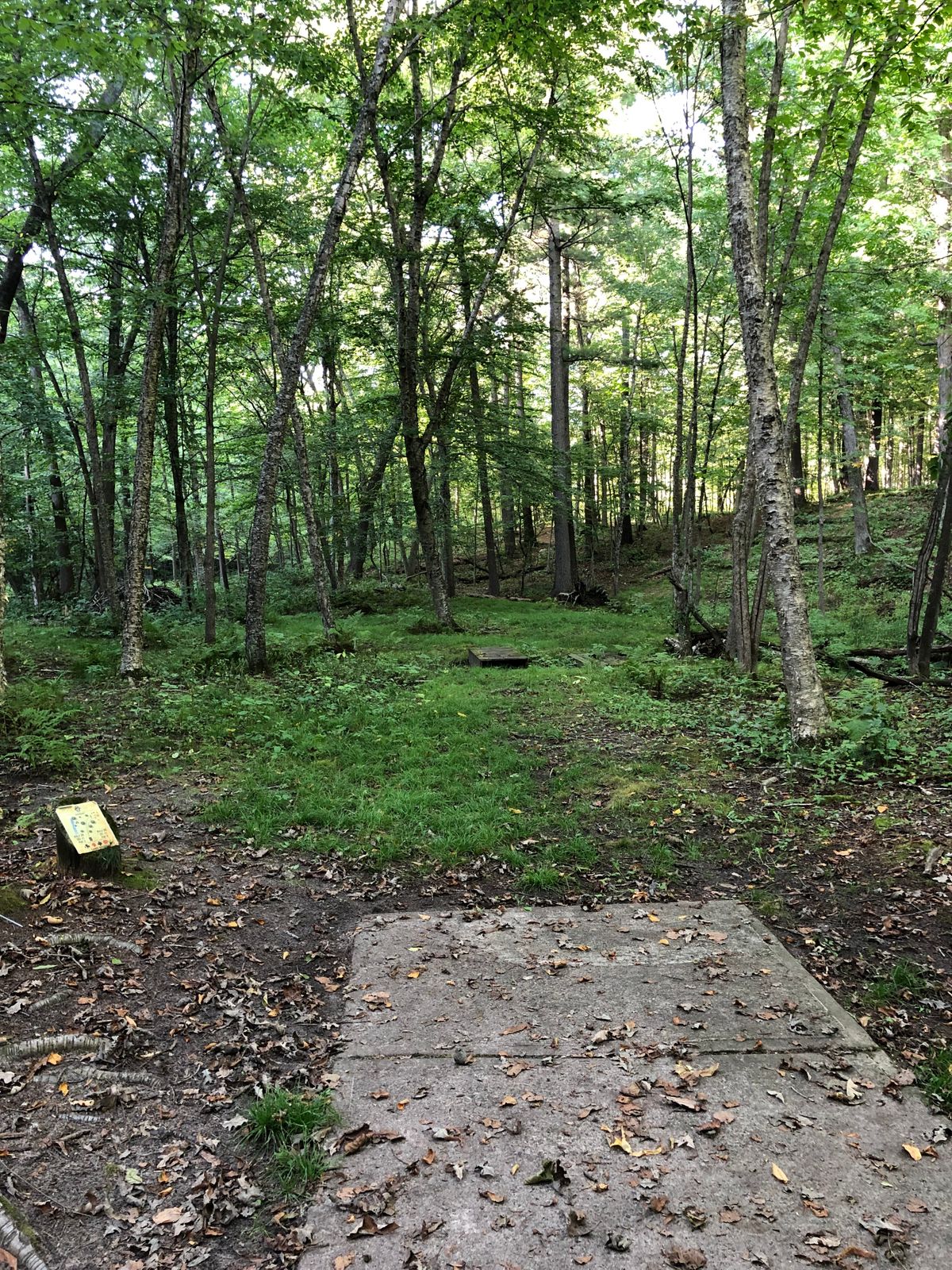 Hole 2 Tee