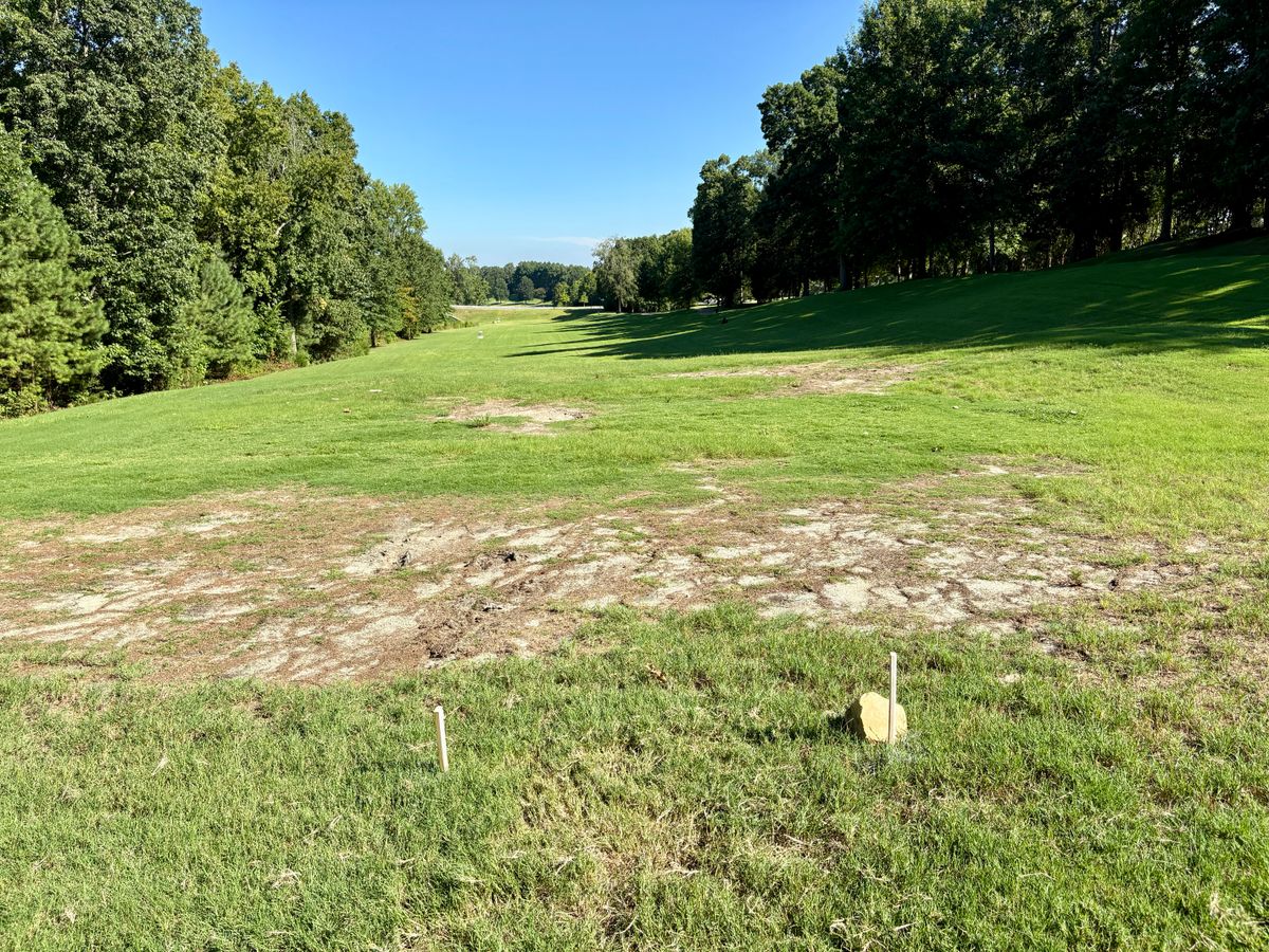Hole 11 tee
