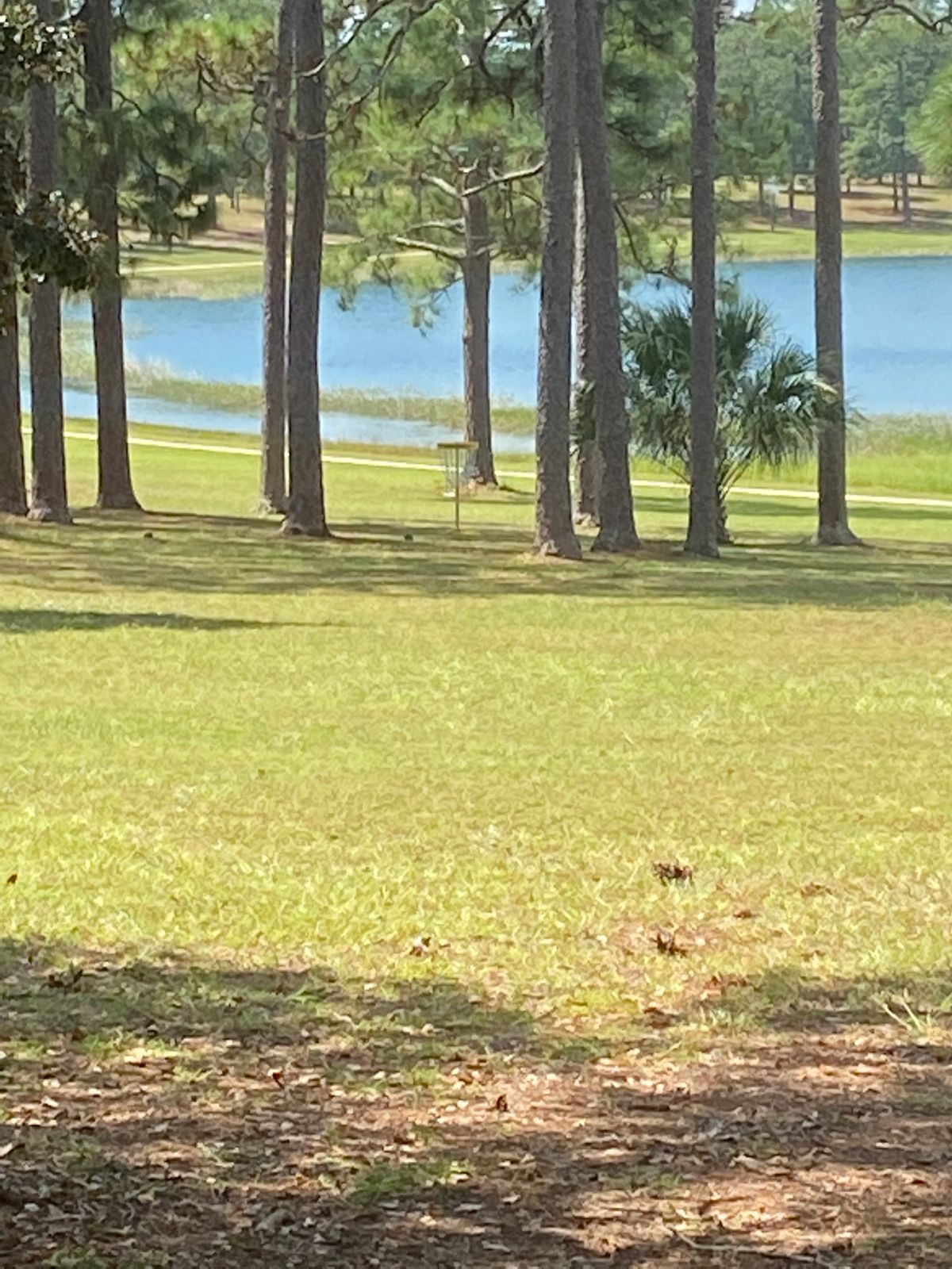 Hole 12