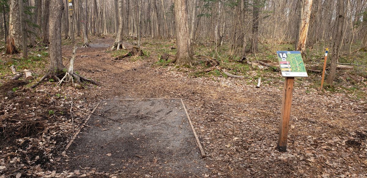 Long Tee #14, with Short tee 70ft/21m ahead.