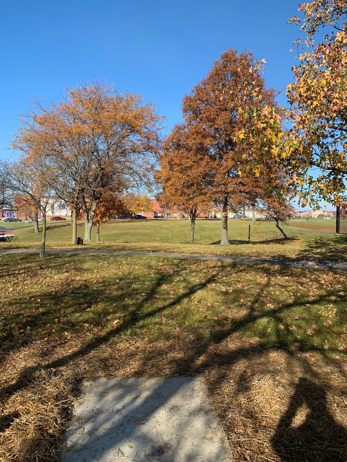 Hole 7 - Pro Tee