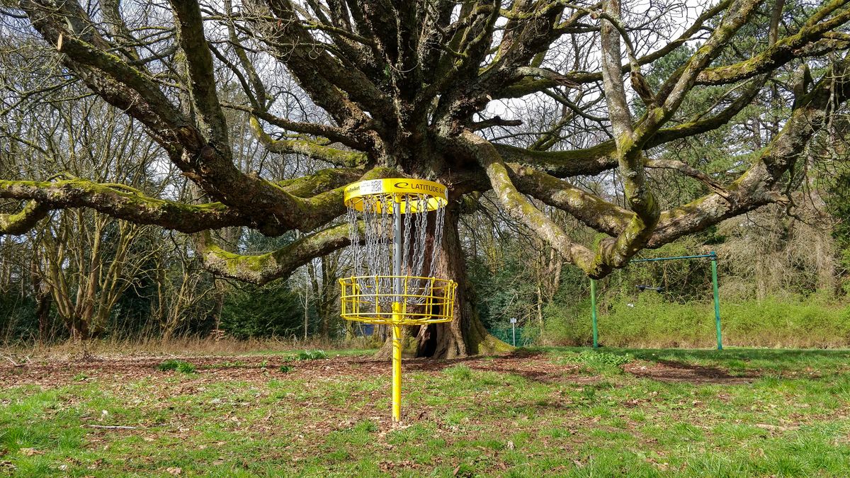 The basket on hole 1 has a very large and old tree protecting any approach from the left.