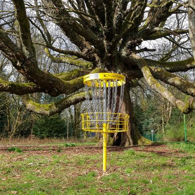 The basket on hole 1 has a very large and old tree protecting any approach from the left.