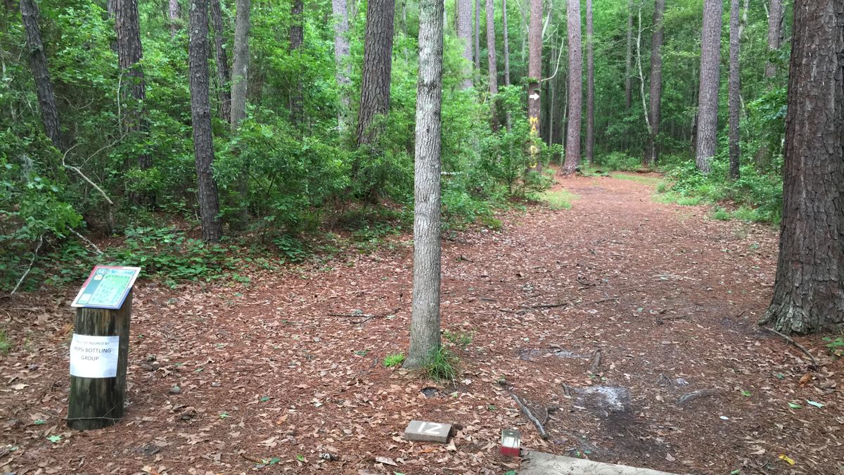 Hole 12