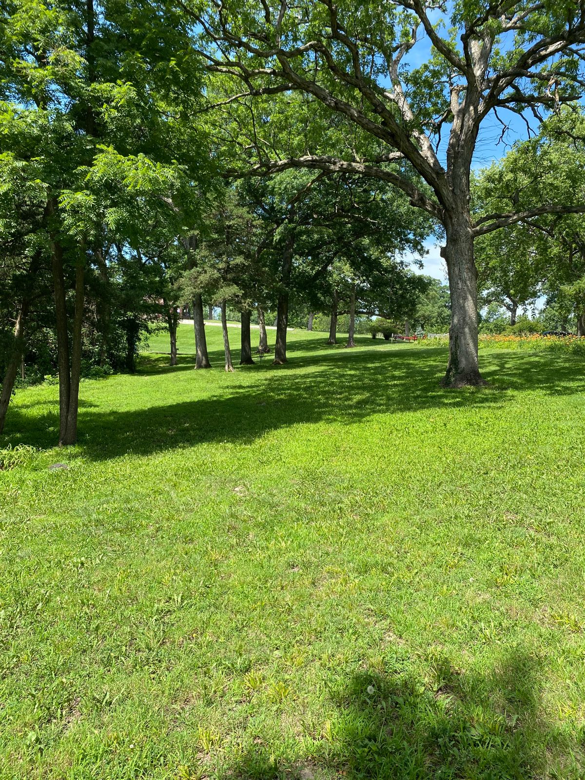 Hole 17 Mid-Fairway