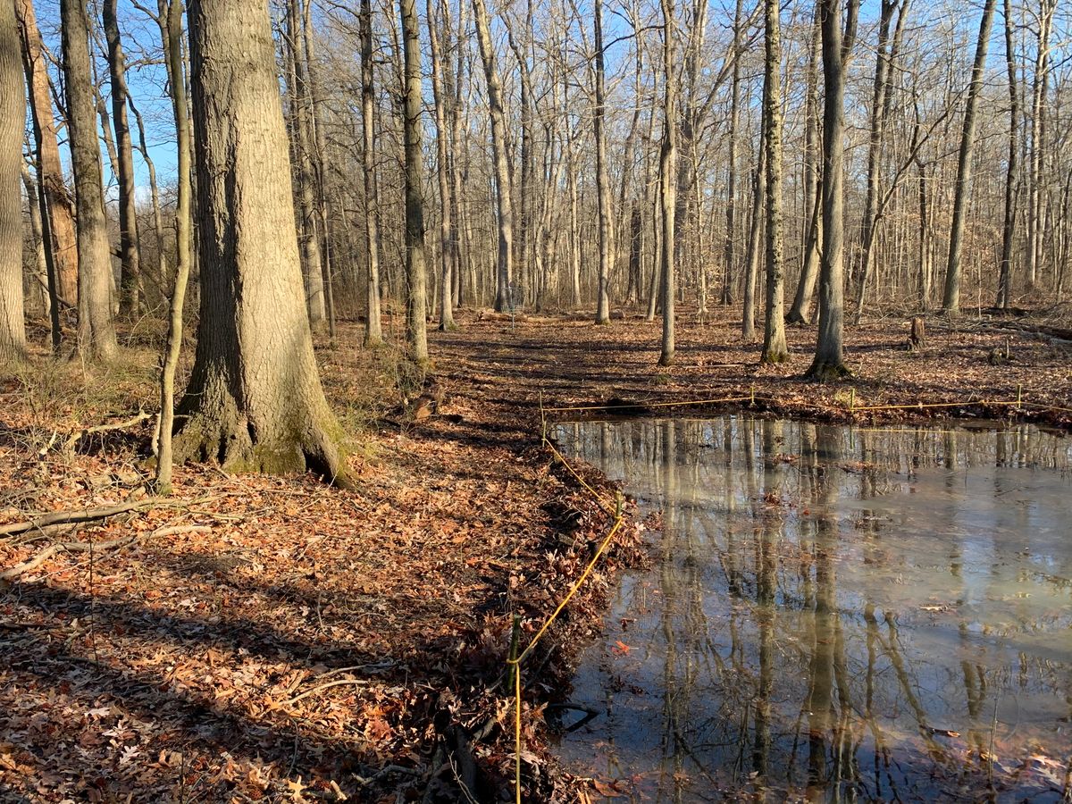 Hole 9 pond/roped OB