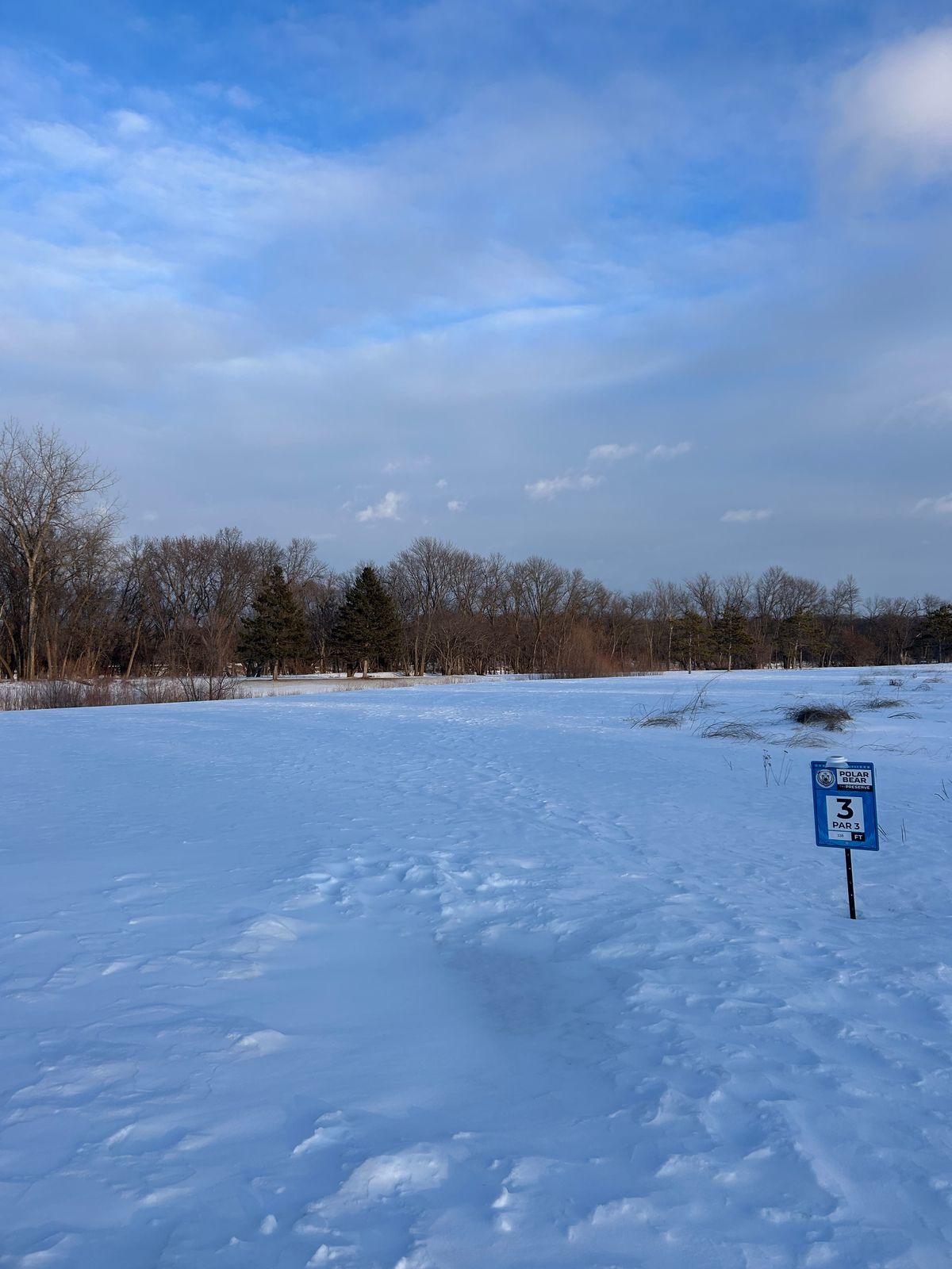 Hole 3 teepad - goes to TW basket #1