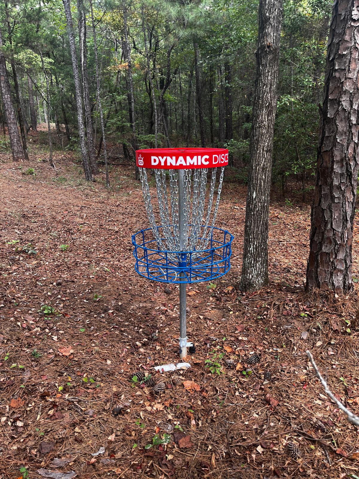 Hole 3 basket