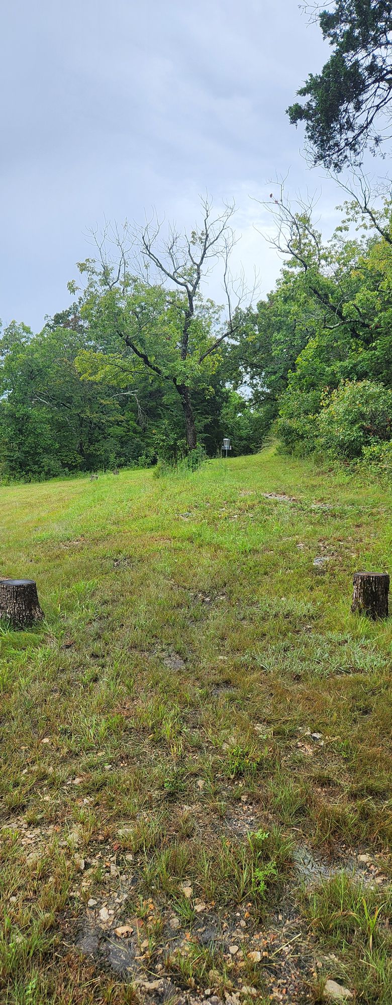 Hole 7