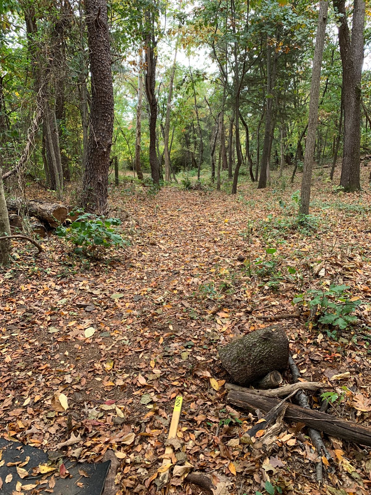 Hole 2, basket to the left