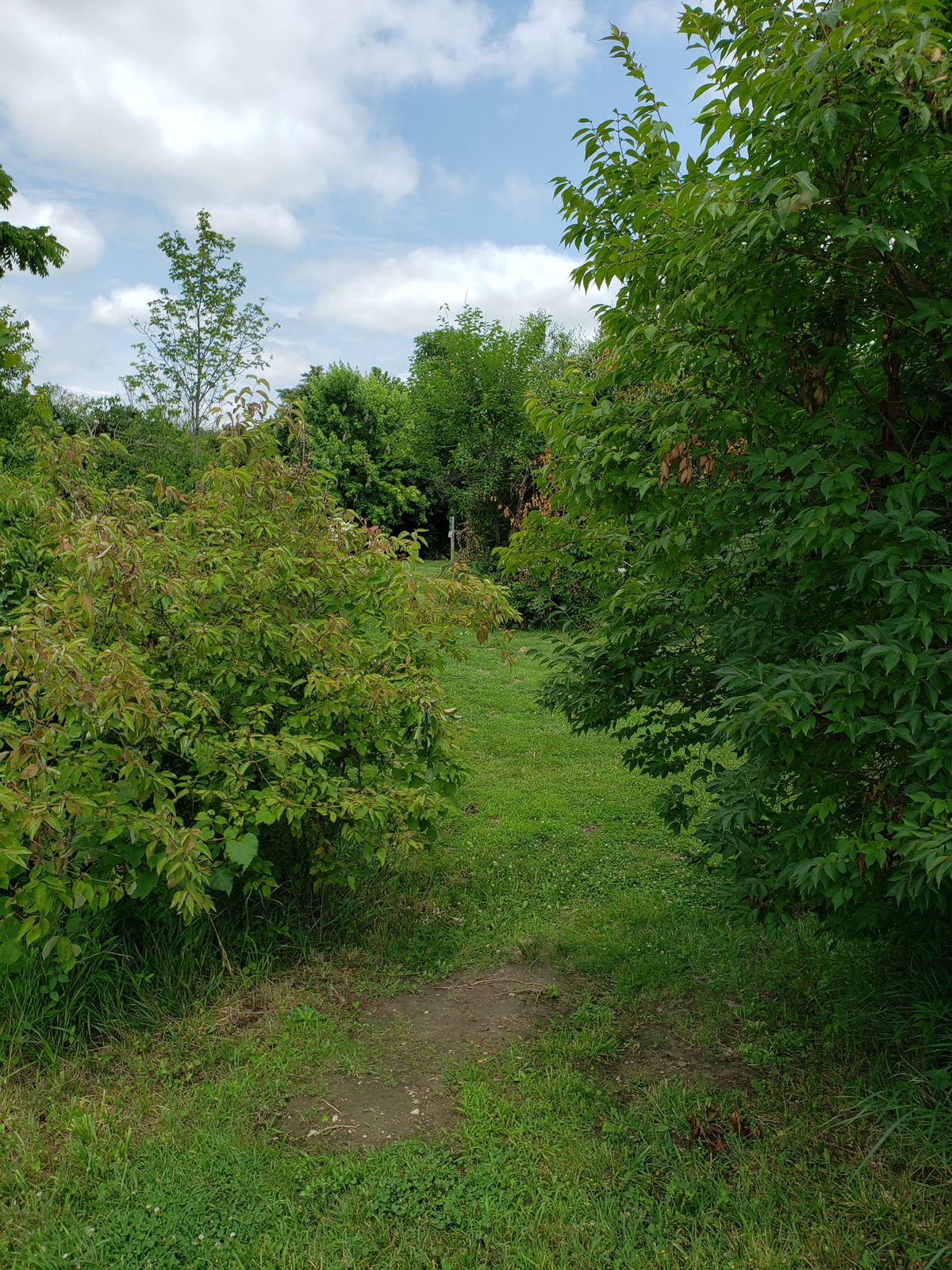 Path to #17 goes past #6 Tee-Pad.