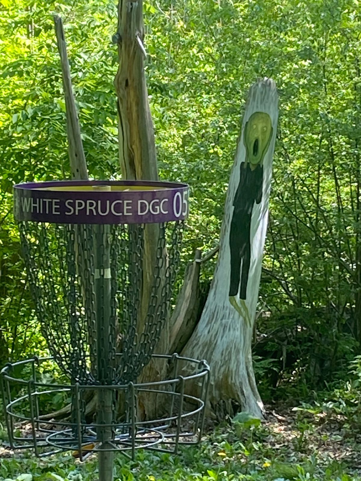 Fun course!