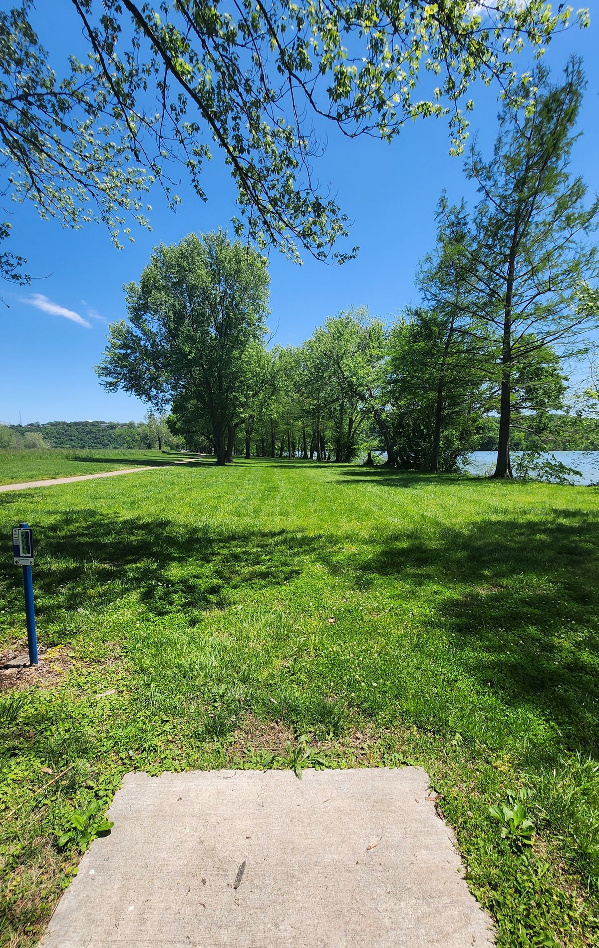 Hole 5, OB field on the left is often tall, so watch out!